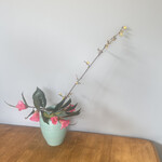 サヴォアのお菓子と料理nitta - 