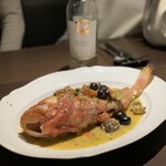 トッポリーノ - 