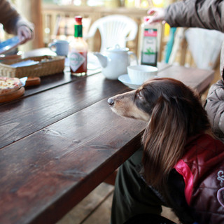 カフェビィー_2