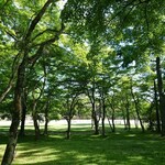 軽井沢プリンスホテル - birch