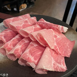 Shabu Shabu Sukiyaki Shabujin Sakai Suji Hommachi - 