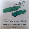 Humming Bird - 