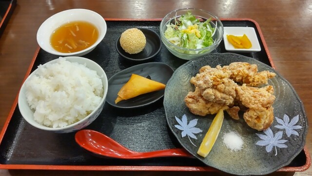 China Shuka Saiko photo 2