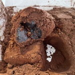 とろり天使のわらびもち - 