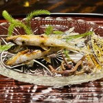 比良山荘 - ◆ホンモロコの塩焼き（琵琶湖）
      ☆ミズの梅酢漬け、蕗のとうの二杯酢