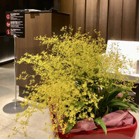 叙々苑 新宿小田急ハルク店 - 