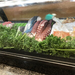 Sushi Hide - 