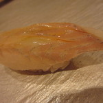  いわ - マコガレイ