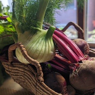 徳島、イタリア等、各地より厳選食材
