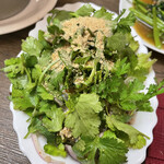 タイーヤータイ - 