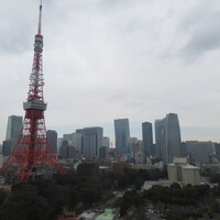 ザ・プリンス パークタワー東京 - 窓外の景色