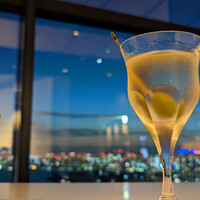 THE PENTHOUSE with weekend terrace - 