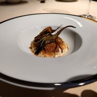 フォリオリーナ・デッラ・ポルタ・フォルトゥーナ - 