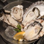 静岡かきセンター - 