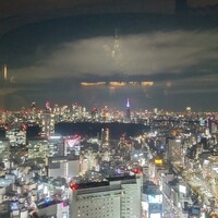 タワーズバー ベロビスト - 西新宿~代々木~市ヶ谷