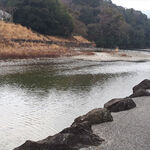 五十鈴川カフェ - 五十鈴川の風景　2023.2