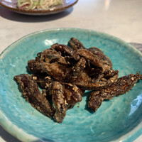 CINA New Modern Chinese - 