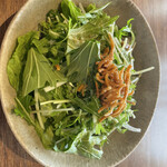 Soba Shimizu - 