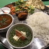 インド宮廷料理 Mashal