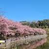 Kaiwaya - 小松が池公園