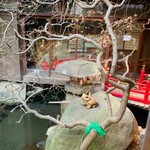 円山町わだつみ - 