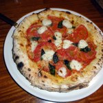 マティーナ - マルガリータ　フカフカの生地