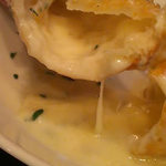 マチェレリーアディタケウチ - 