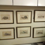 レストラン アラジン - 