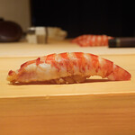 鮨 尚充 - 車海老