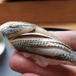 寿司割烹 魚紋 - 小鰭、リフト(^-^)/