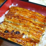 Unagi Kazuki - 