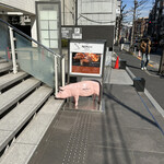 HyLife Pork TABLE - 