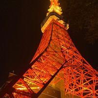 ワカヌイ グリル ダイニング バー 東京 - 
