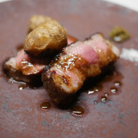 TACUBO - 