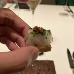 カンテサンス - 