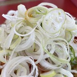 ラーメン もっけだの - 2023.2.1～冬季限定『旨辛ラーメン炎山ニンニク野菜マシマシ+ネギ』のネギ