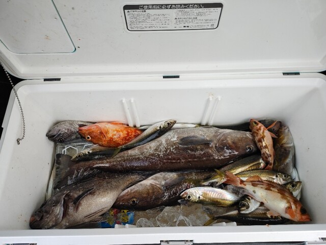 ドジャース 男鹿店 &ndash; 男鹿市の便利コンビニ＆スーパーガイド