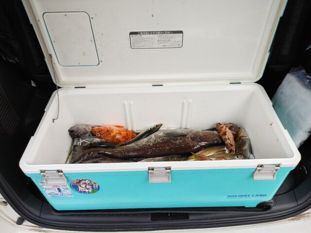 ドジャース 男鹿店 - 男鹿（コンビニ・スーパー）の写真