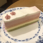 ドトールコーヒーショップ  - ふんわり香るさくらのケーキ