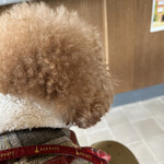 PARKER COFFEE STAND - この日の後ろ姿