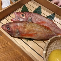 のどぐろ専門 銀座 中俣 - 