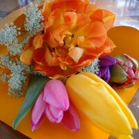PASTA HOUSE AWkitchen FARM 多摩センター店 - お誕生日おめでとう( ☆∀☆)