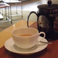 フィオレンティーナ -  フィオレンティーナ -