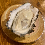 酒と旨いもの なまけもの - 生牡蠣