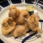 サンチャ フカミ - 