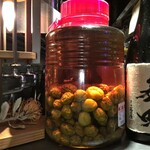 サンチャ フカミ - 