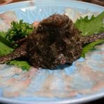 とっくり居酒屋 - おこぜのおつくり