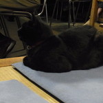 武蔵屋 - こっち向きません