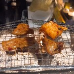 将軍ホルモン - 