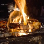 将軍ホルモン - 